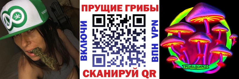 где купить Протвино Галлюциногенные грибы Psilocybine cubensis