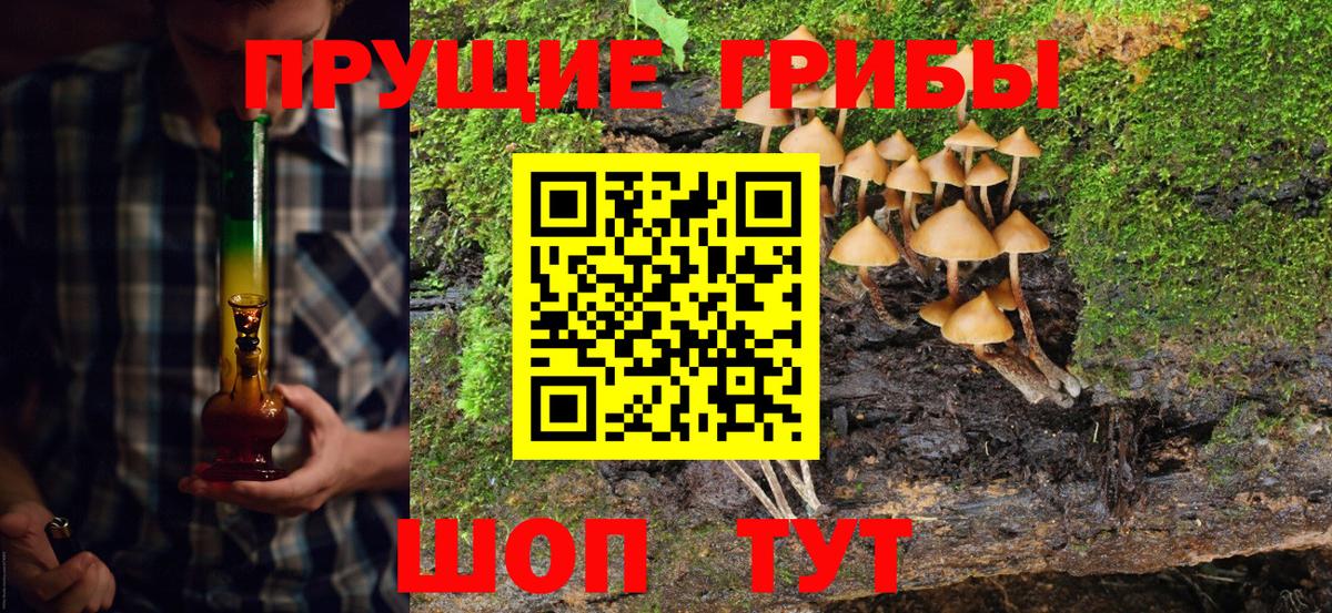 Галлюциногенные грибы Cubensis  Псилоцибиновые грибы прущие грибы  Вход с VPN  магазин продажи наркотиков  Протвино 